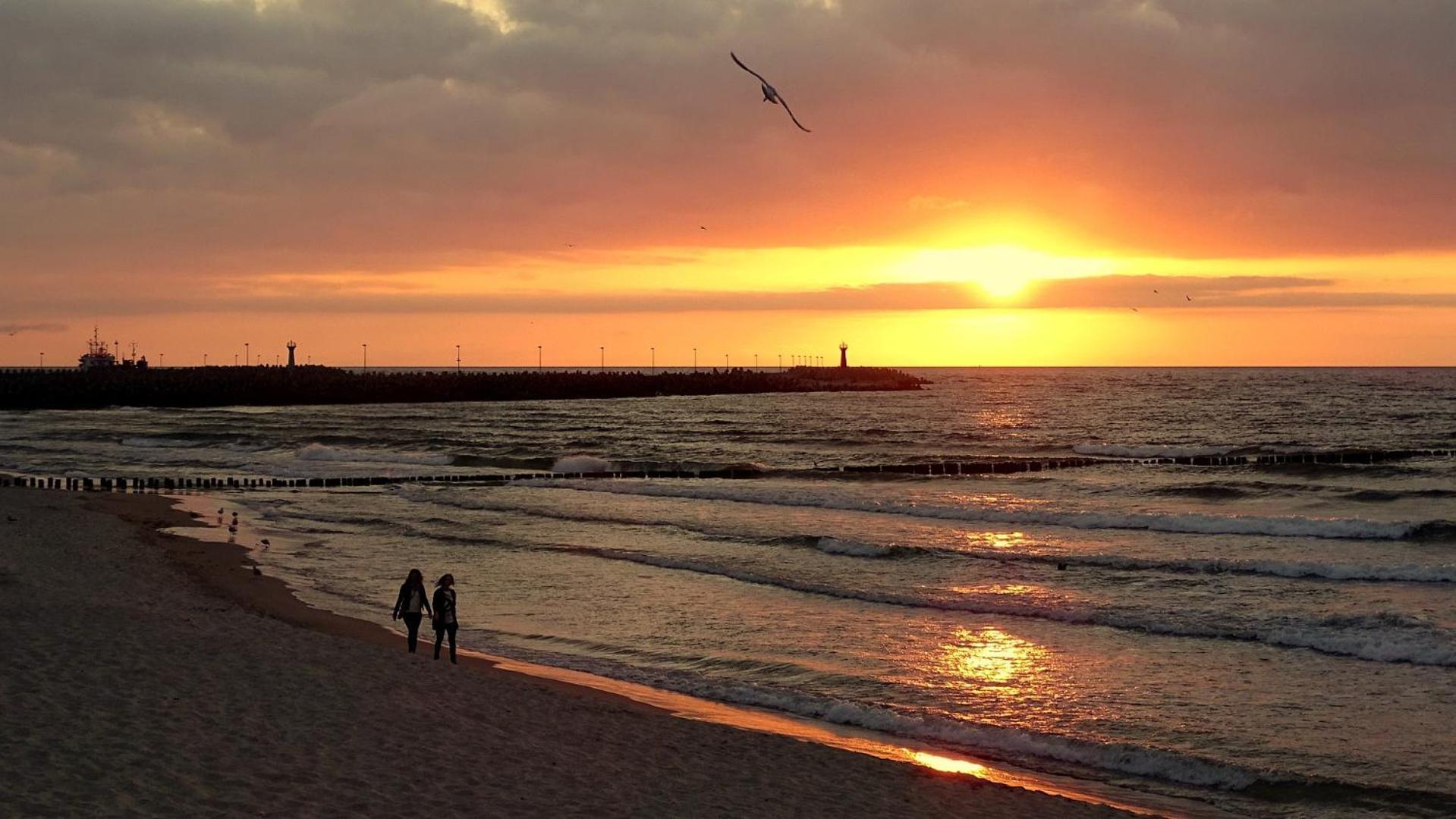 114 Przy Plazy W Royal Tulip Sand Natalia Dobruk Apartamenty Kołobrzeg Exteriör bild